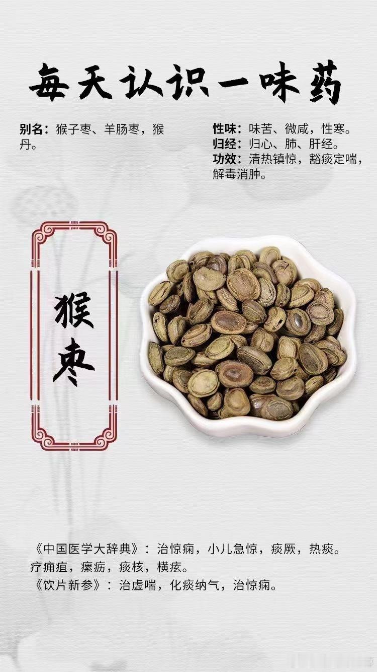 #每天一味中草药##国医的精诚力量# 【每天认识一味药】🌹猴枣⭕别名：猴子枣、