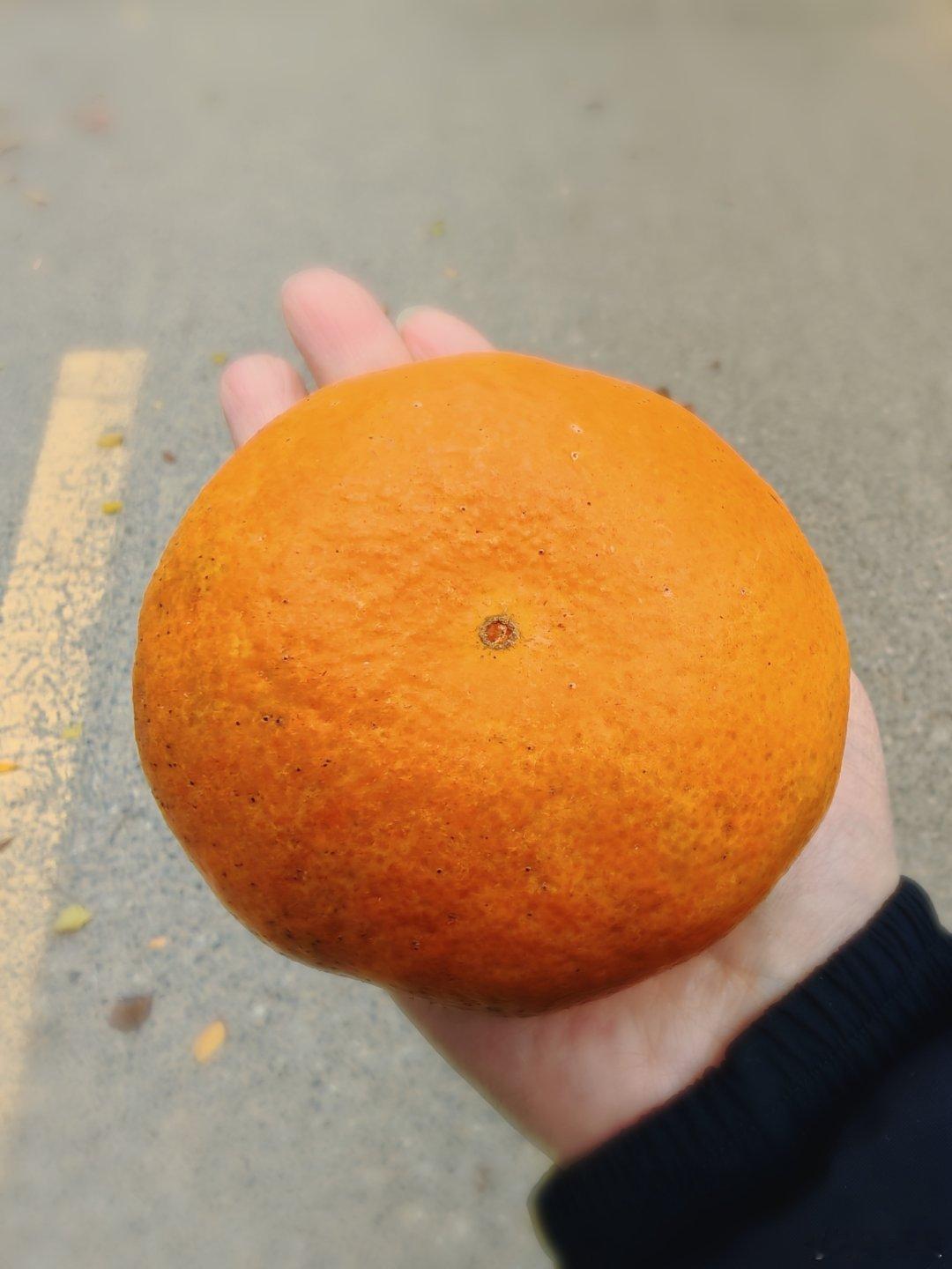 好大一个橘柑🍊，哪个来帮我吃两瓣[偷笑]✨✨ 