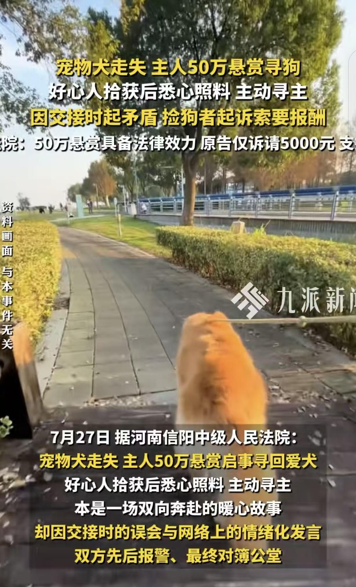 “50万酬谢变500元！”河南信阳，一男子养的大金毛丢失，同一天，被另一男子捡到
