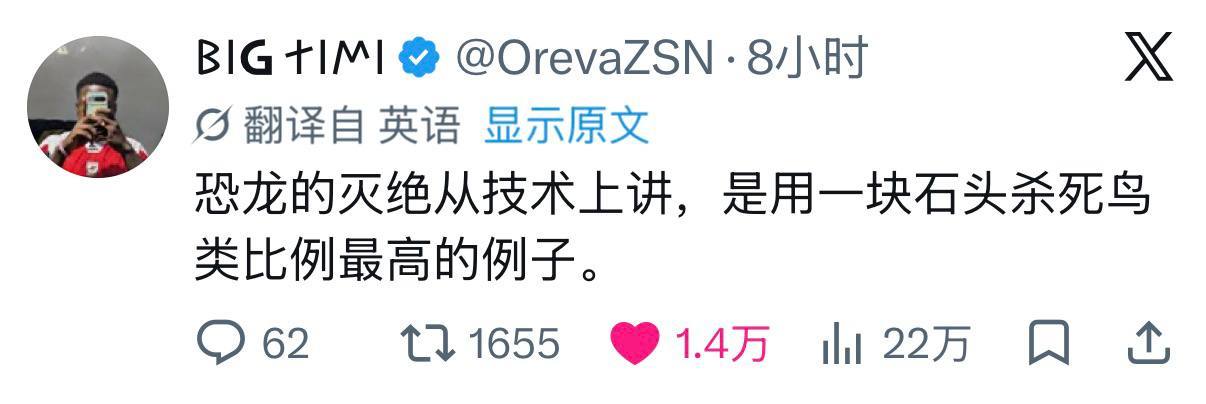 一石无数鸟 