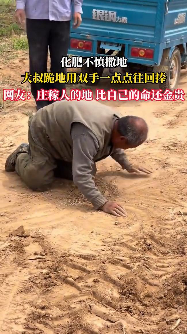 化肥不慎撒地，大叔跪地用双手一点点往回捧。
网友：庄稼人的地比自己的命还金贵。