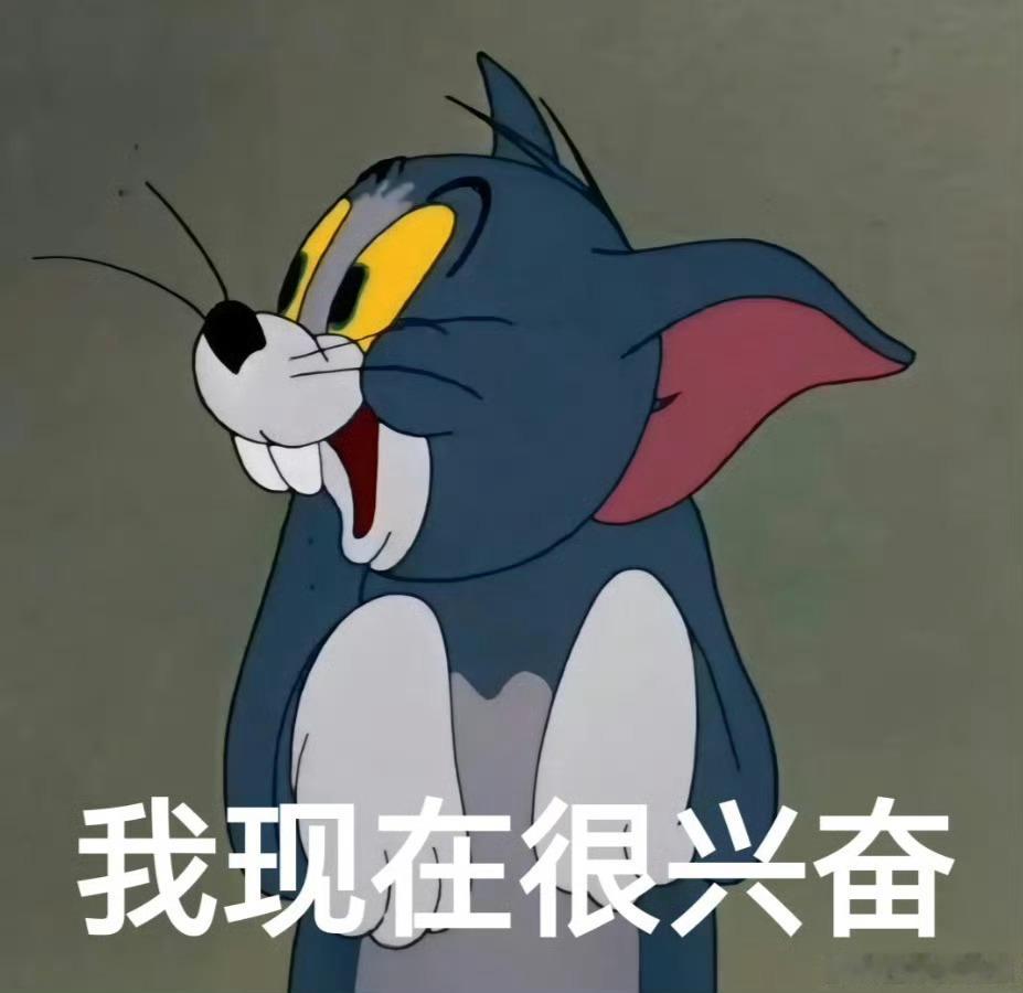京东拍卖的150斤南瓜比人还高 这又是谁的心头好wu呢！是你，是我！东东这次上新