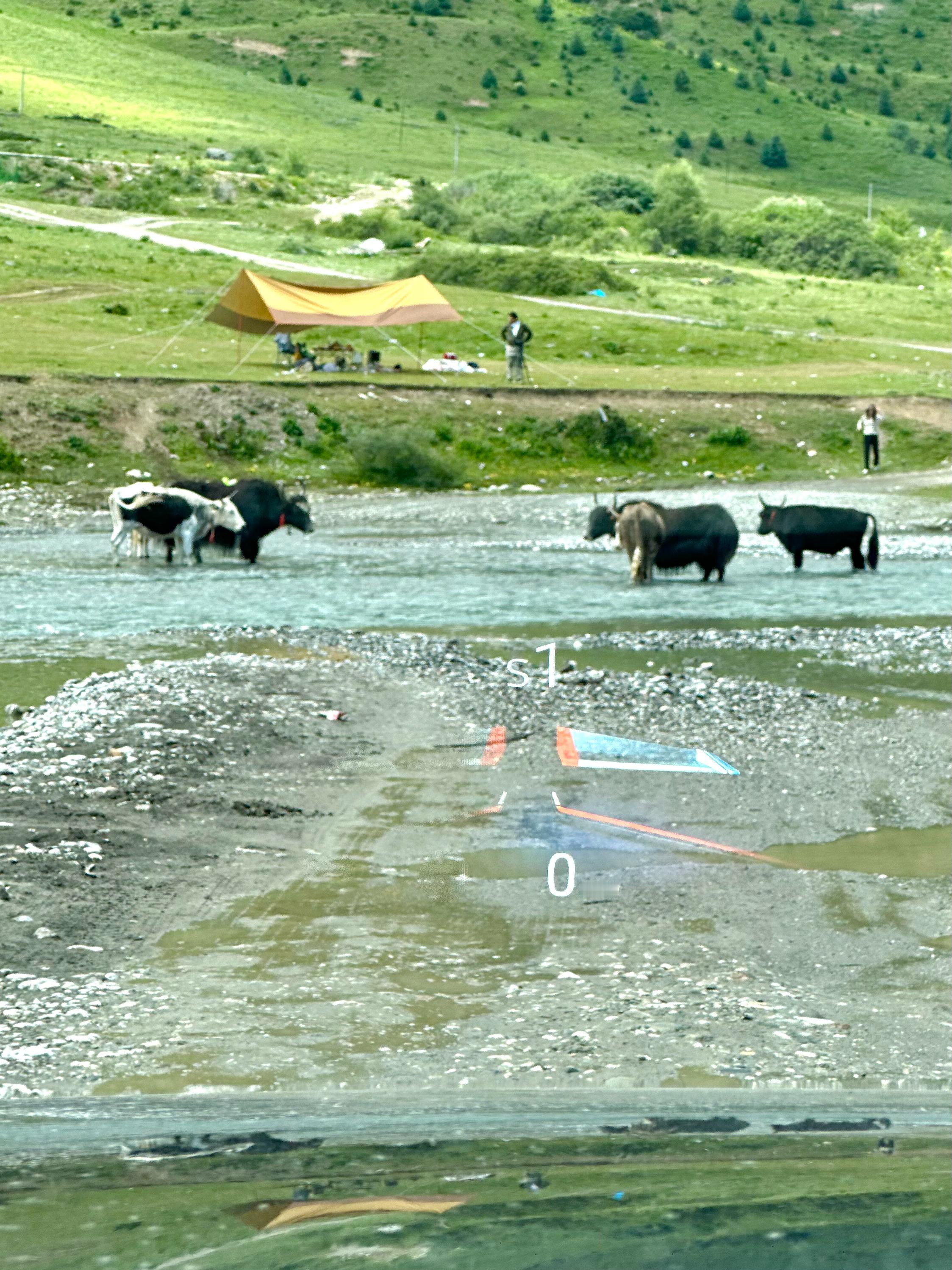今天的牦牛奶特别香浓在甘孜县城停留、休整最后一天和朋友再次重返S455省道“甘白