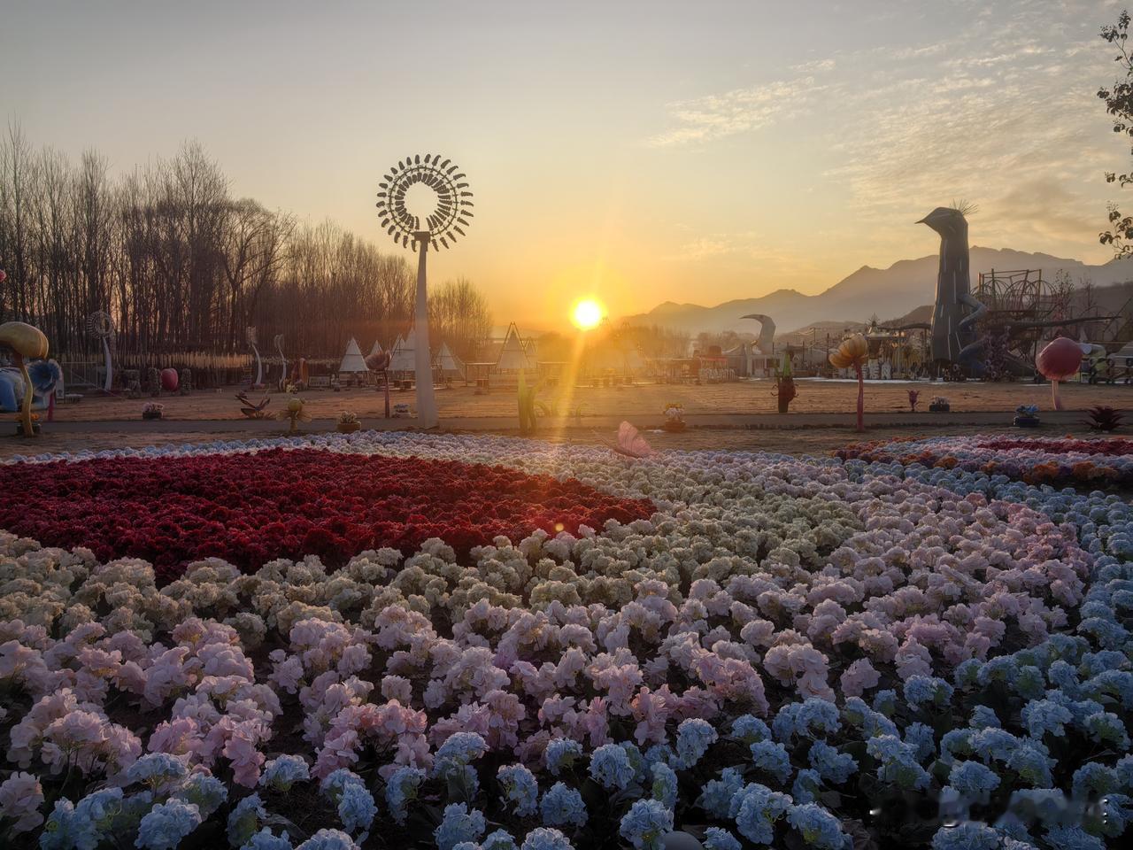 今日初十，我真诚祈祷
祈家事平和，屋檐之下，皆是温暖；
愿花朝月夕，目之所及，皆