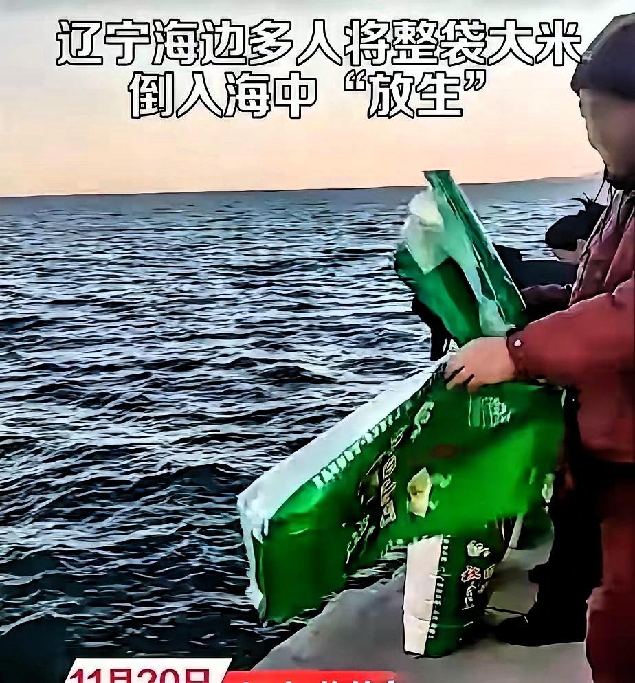 真吃饱了撑的！辽宁多人往海里倒大米“放生”，这哪是行善是糟践粮！
 
真见过离谱