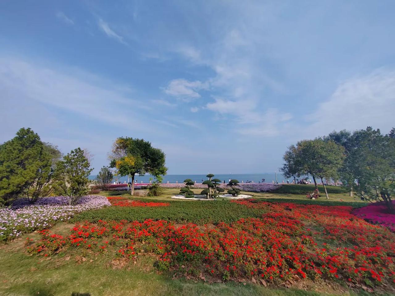 #秋日生活打卡季##美景随拍＃# #分享秋季美景# #秋日出游随手拍# #秋日之