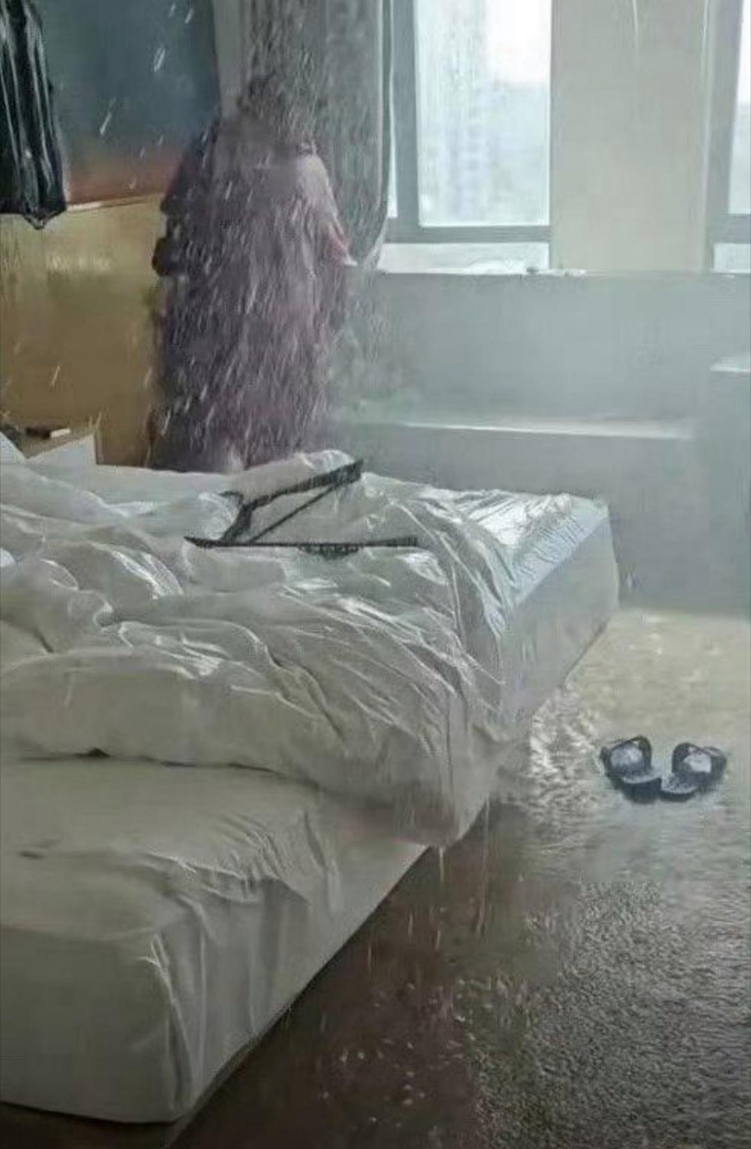 这是闯过最大的祸吧 