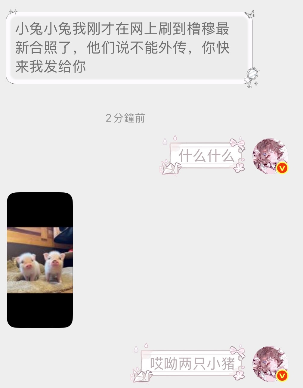 就是这样两只呆萌的小猪呀🤏🏻🤏🏻 