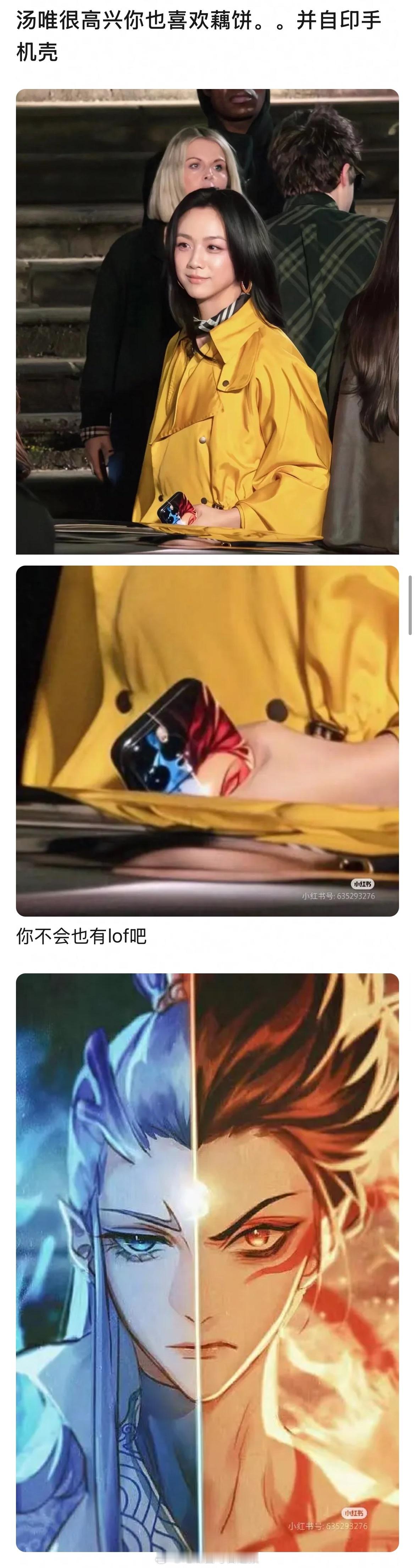 汤唯也在嗑藕饼吗？手机壳都是哪吒和敖丙的CP图，甚至像是自制的……好起来了，藕饼