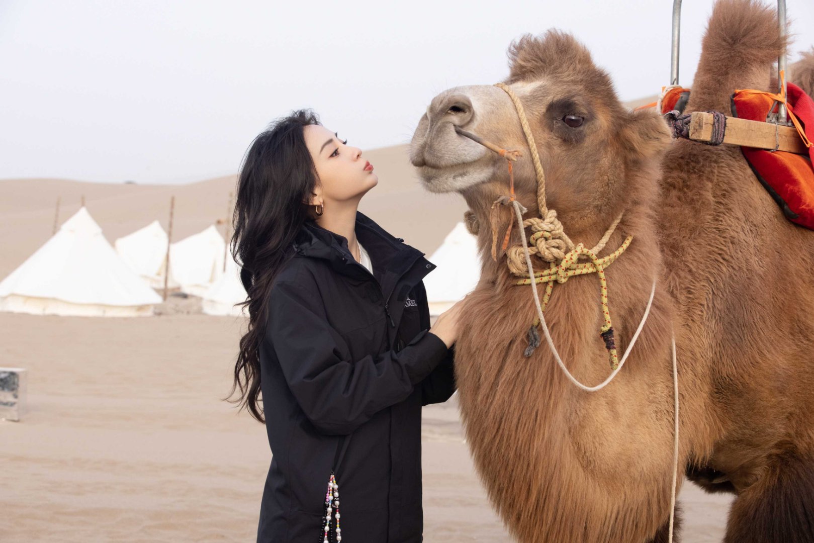 angelababy angelababy  不算狂热却足够长久，你的每一个作品