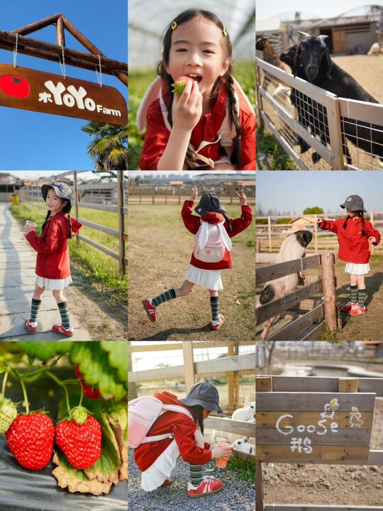 ‼️终于被我发现杭州遛娃天花板农场🍓