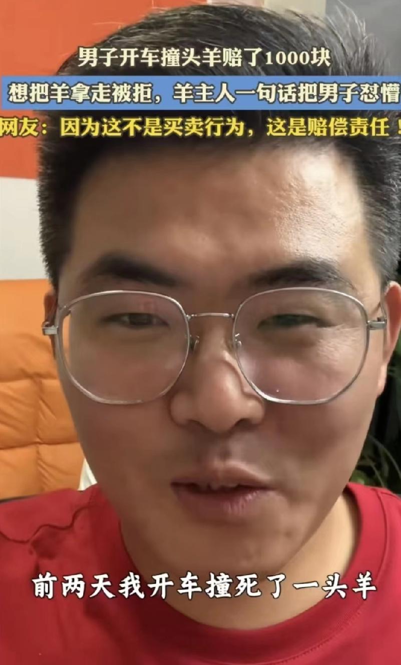 撞了羊赔了钱，车主说羊归我，牧民拦着不给。

这事最近在好几个地方都发生了，不是