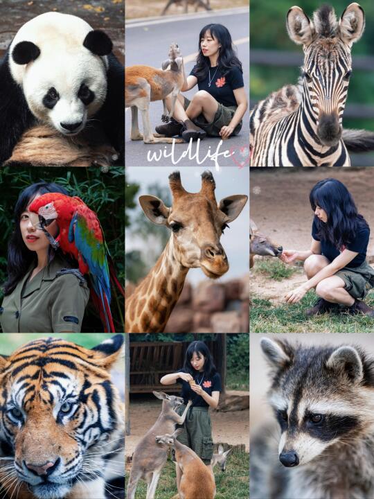 日落后出发🌇解锁济野动物世界奇妙夜