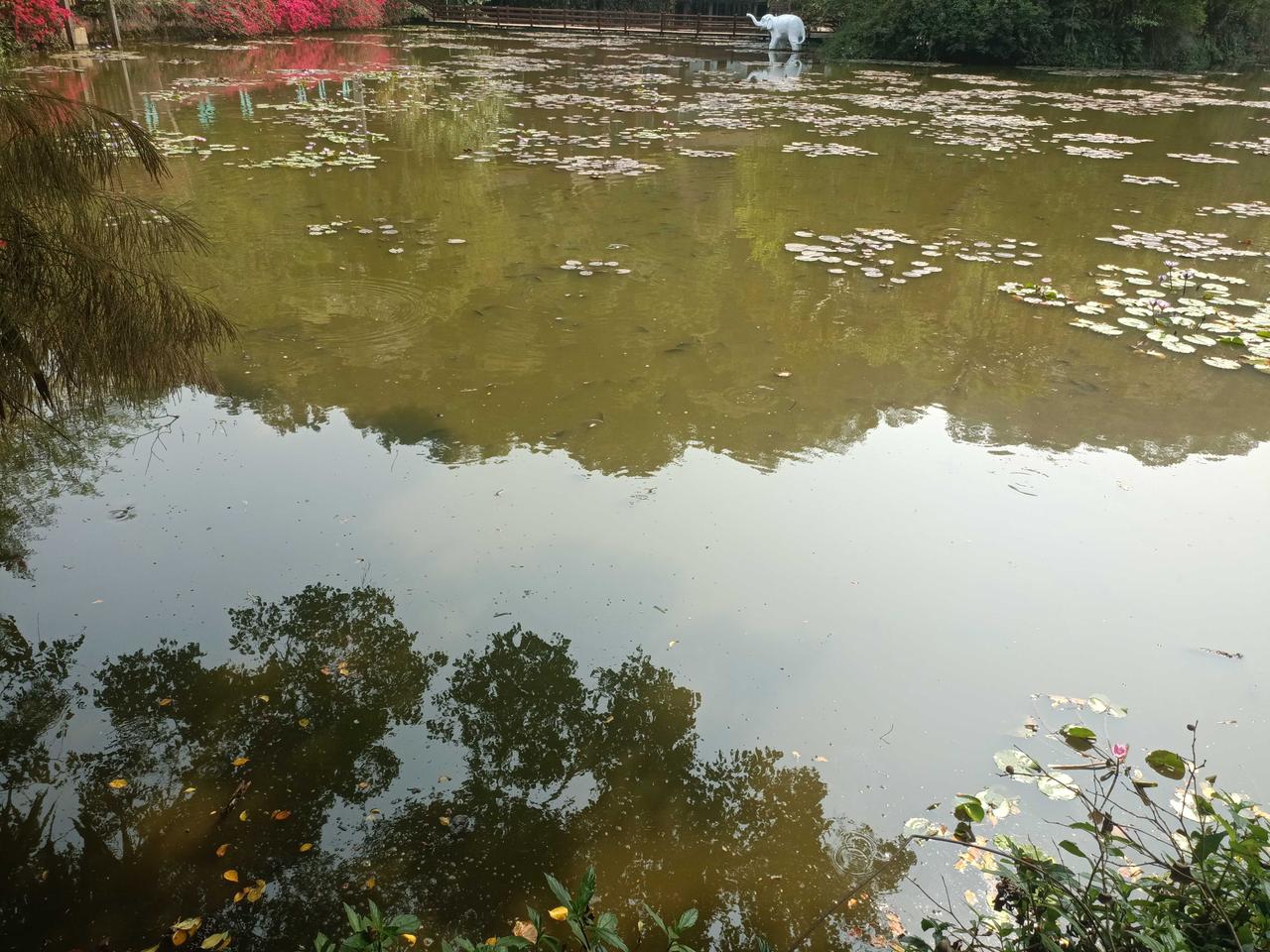 拍一张你的城市美景