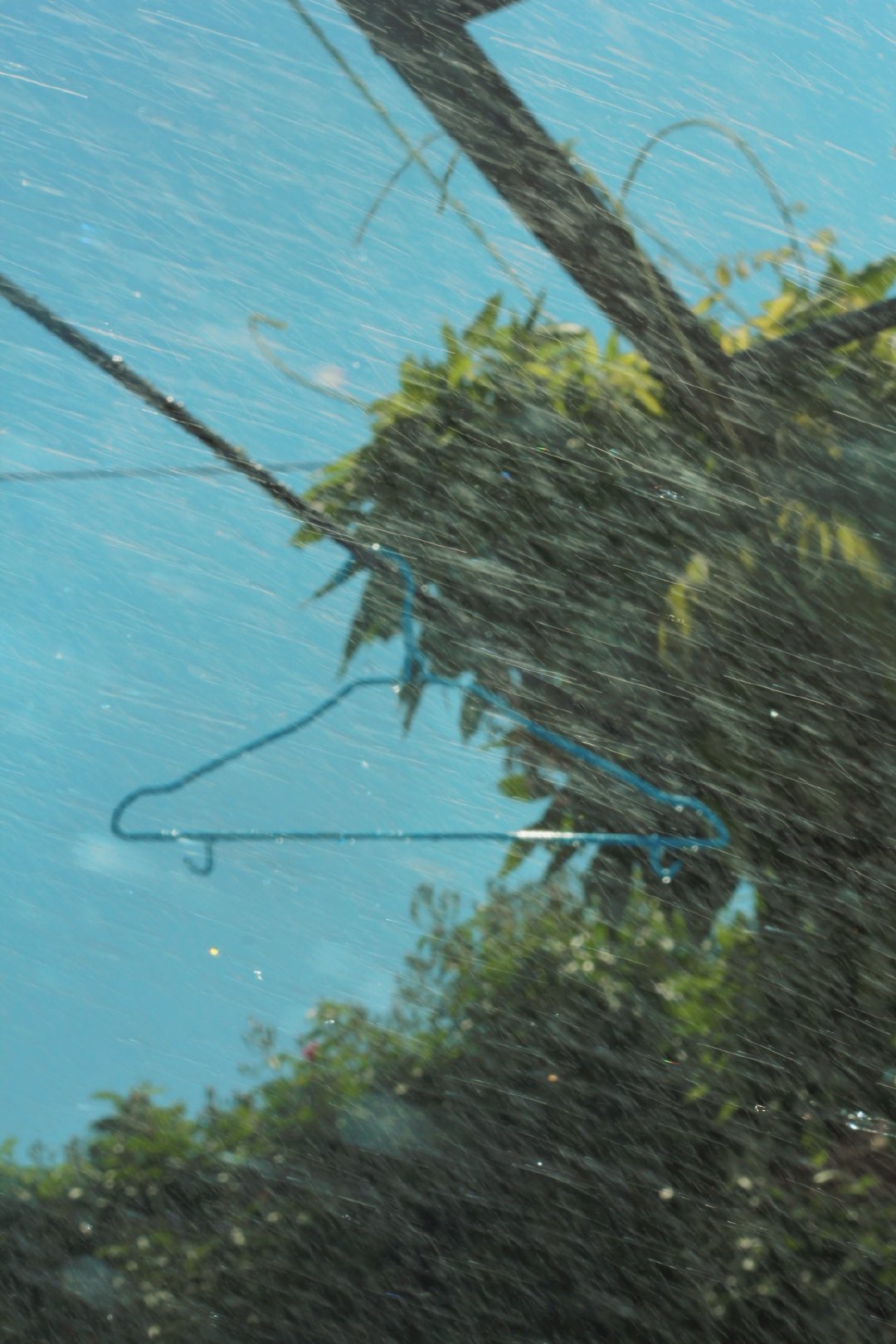 曾经以为我已经从那条臭水沟里面爬了出来，原来我只是学会了在臭水沟里游泳。爷爷没有