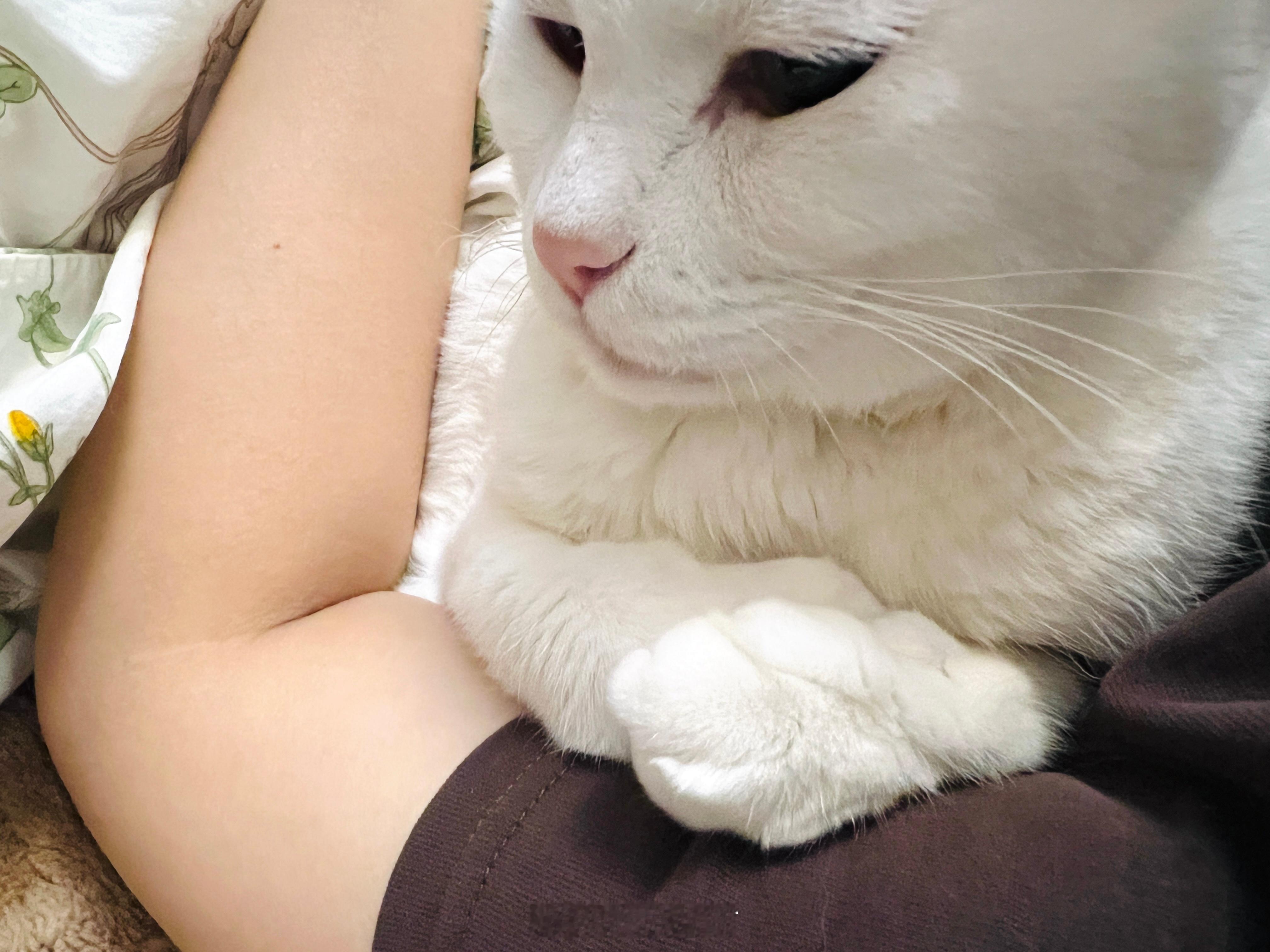 落枕啊、肩頸僵硬大概就是這麼來的～吉：妳福說！是滑手機吧？ 