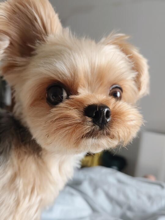Hi👋🏻人