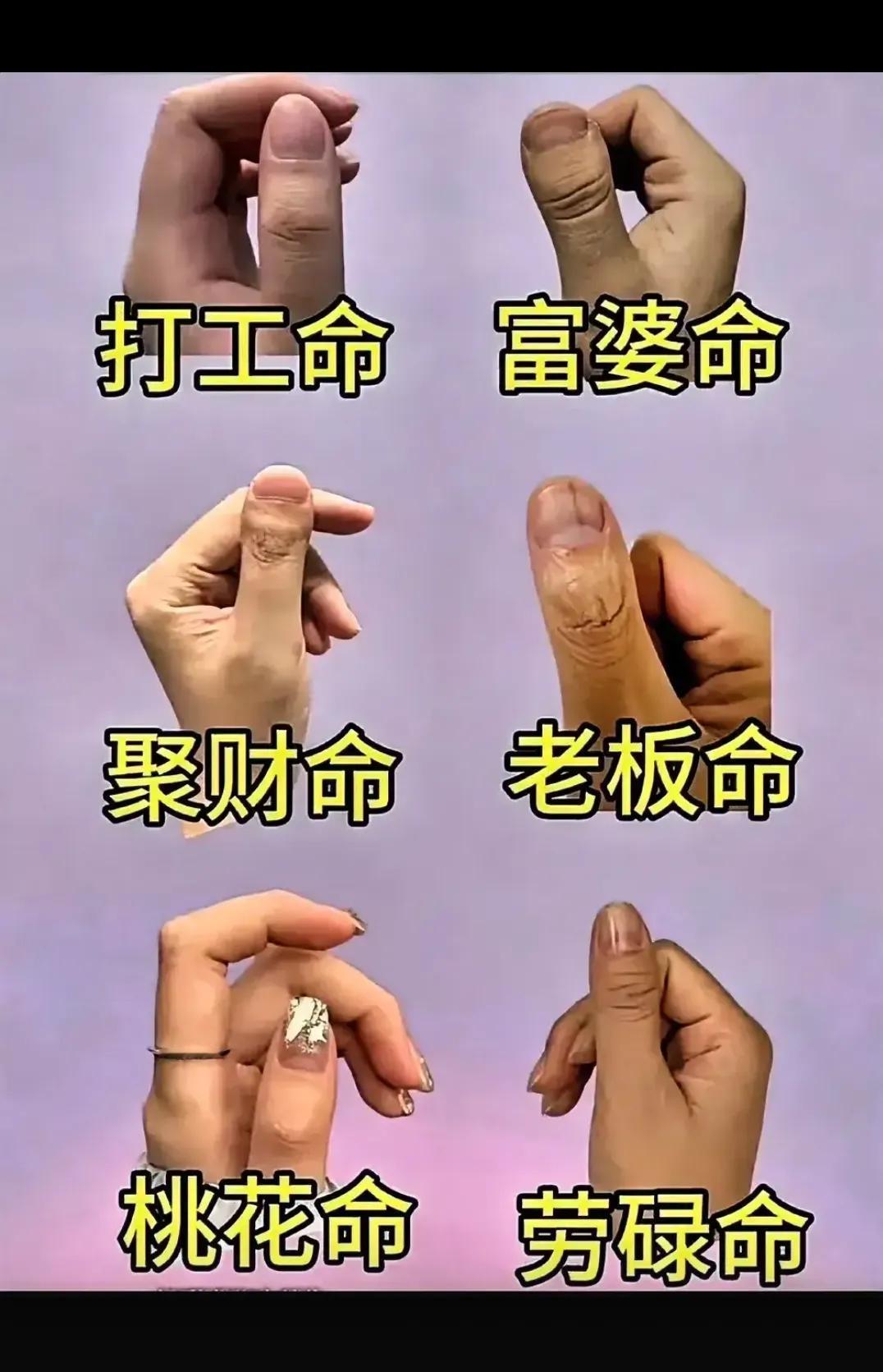 你看看你是什么命？？？