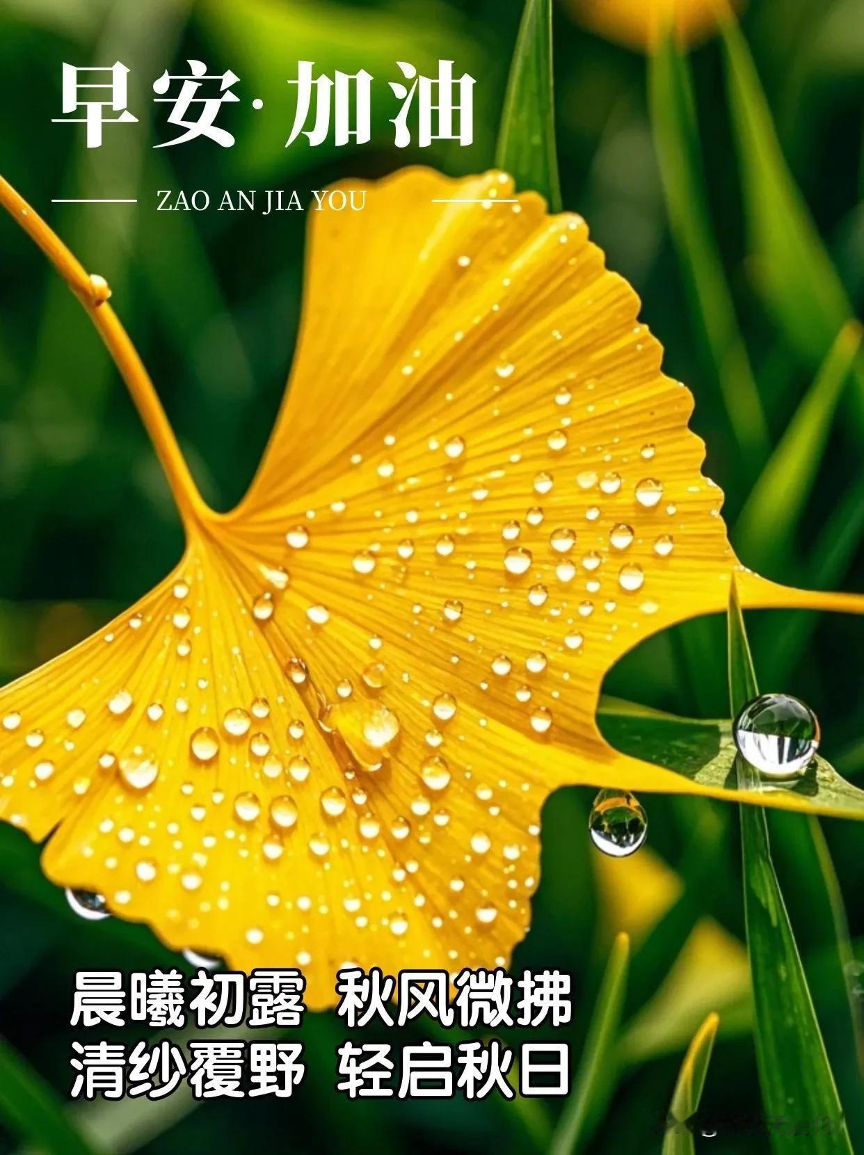 #记录我的9月生活#
特别美好的一段话，生活并非都是繁花锦簇，所有的好，不过是来