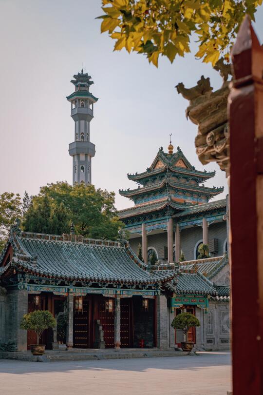 4️⃣刷郑州，我又发现了一些新的好东西