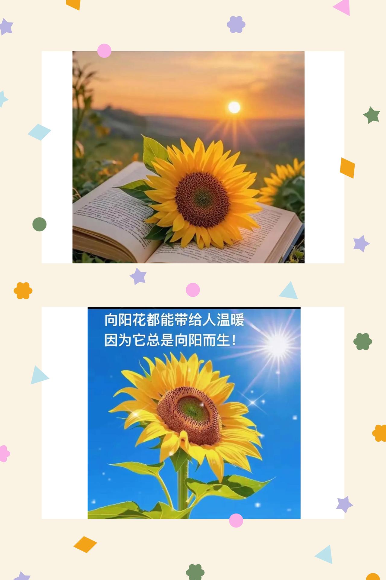 心向暖阳，安度日常
人心向阳，岁月自会温良，这世间从无无解的困境，所有的坎坷不过