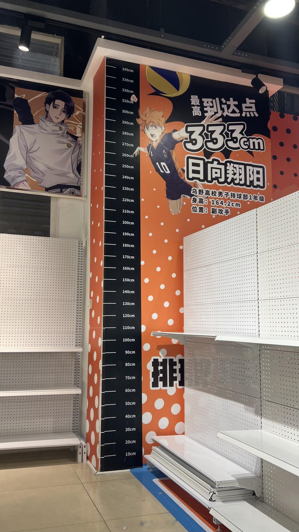 #排球少年##动漫#小太阳弹跳力具象化： ​​​