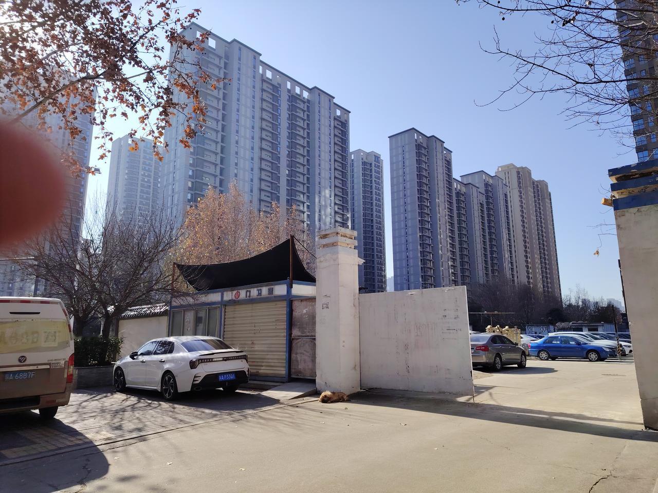 “不以物喜，不以己悲”，秉持着无欲无求、无喜无怒的心境，不争不卷、不斗不闹，将金