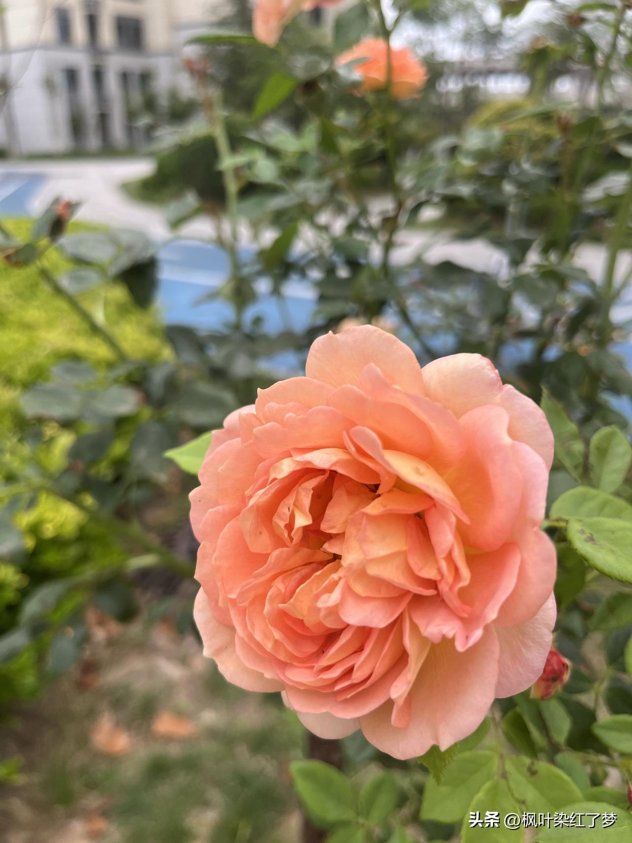 国学大师曾仕强一番话，点醒无数女人：“有慧根的女人，就是看起来似乎傻傻的，笨笨的