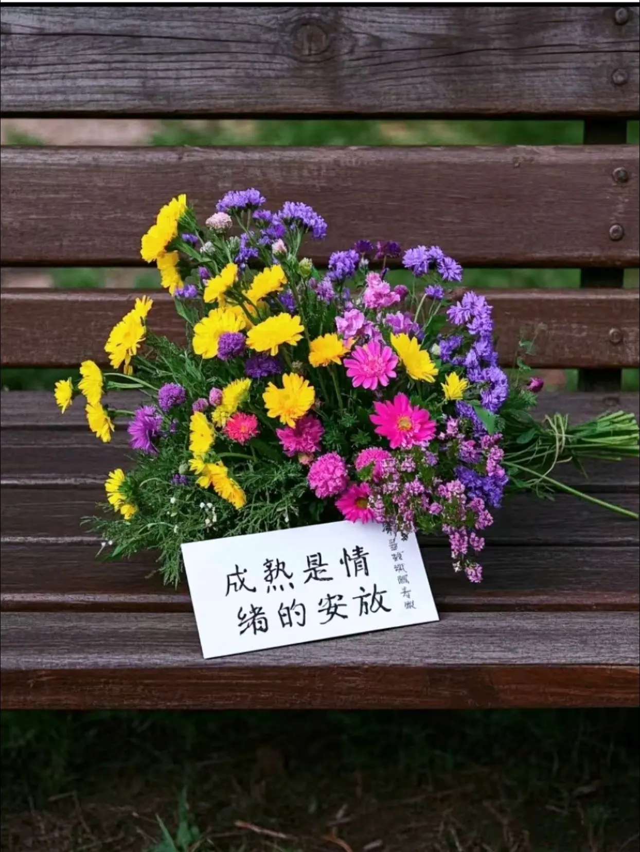 “成熟指的不是年龄， 而是安放情绪的能力……”