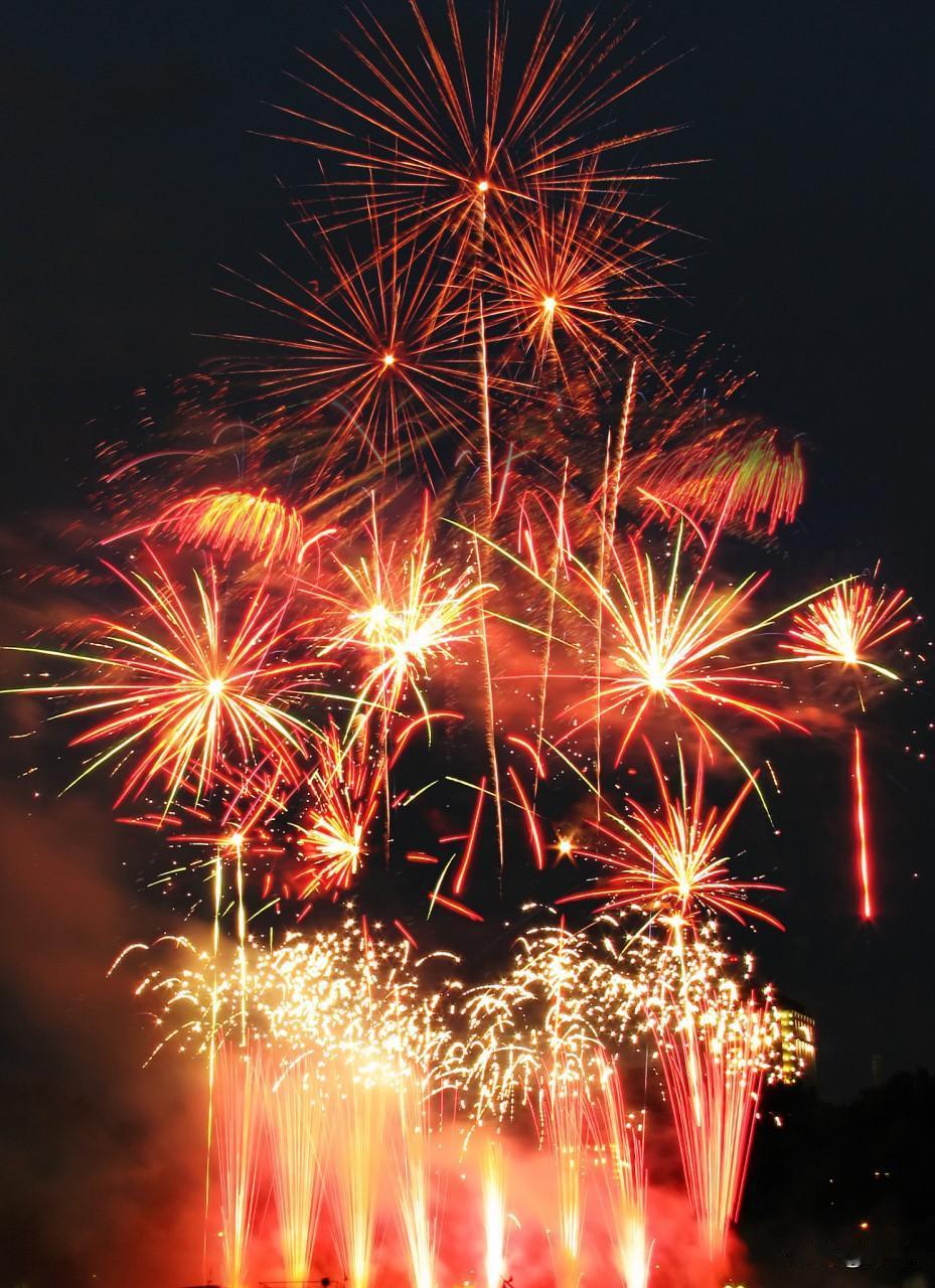 除夕之夜我家不哑炮
昨天弟弟实在想点炮
奶奶站大门口放风
看见戴袖标巡视组员
我