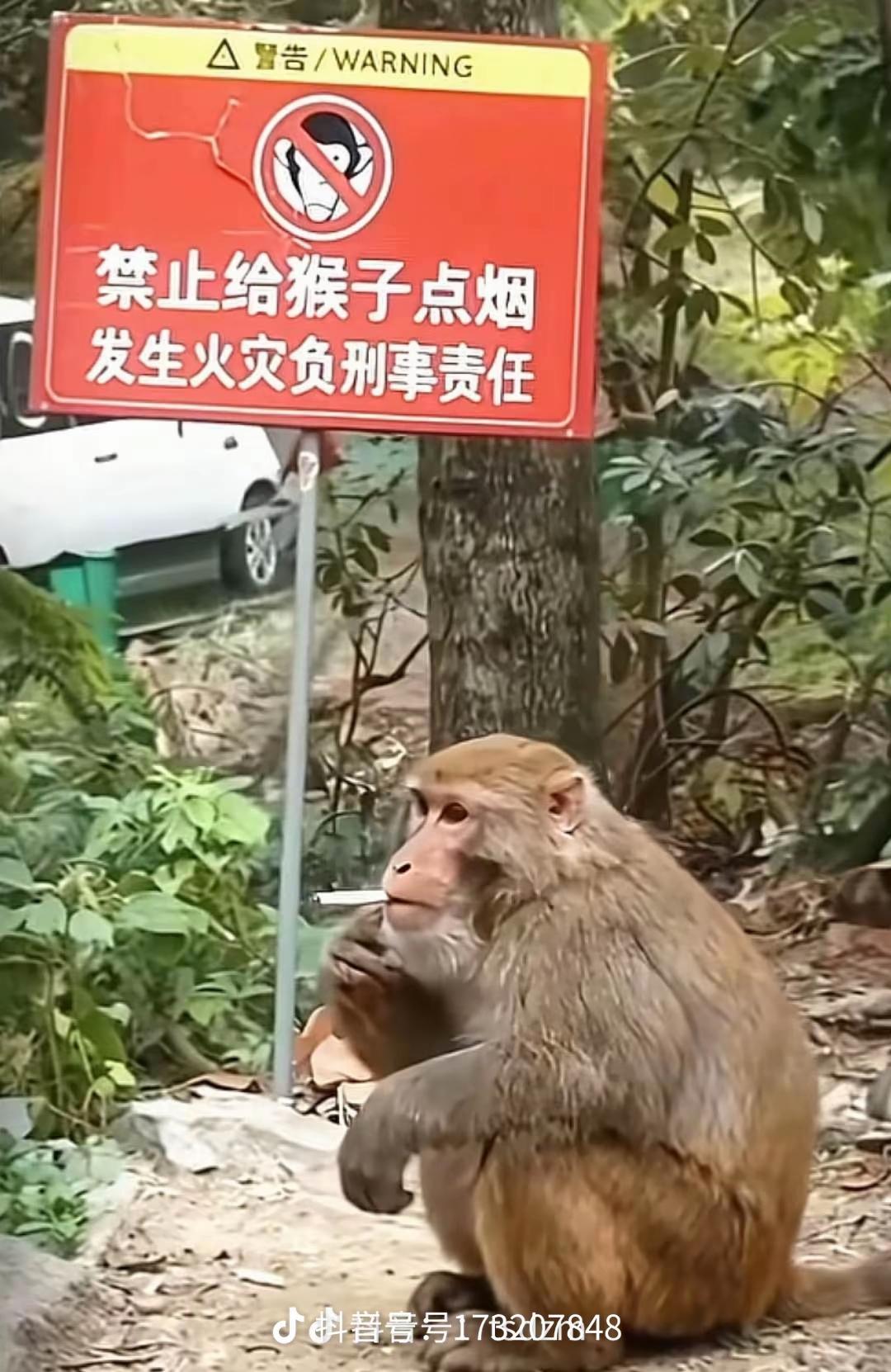 伪史论确实是存在的，也确实需要被批驳。网络上的确流传有“唐朝不存在”的伪史论调，