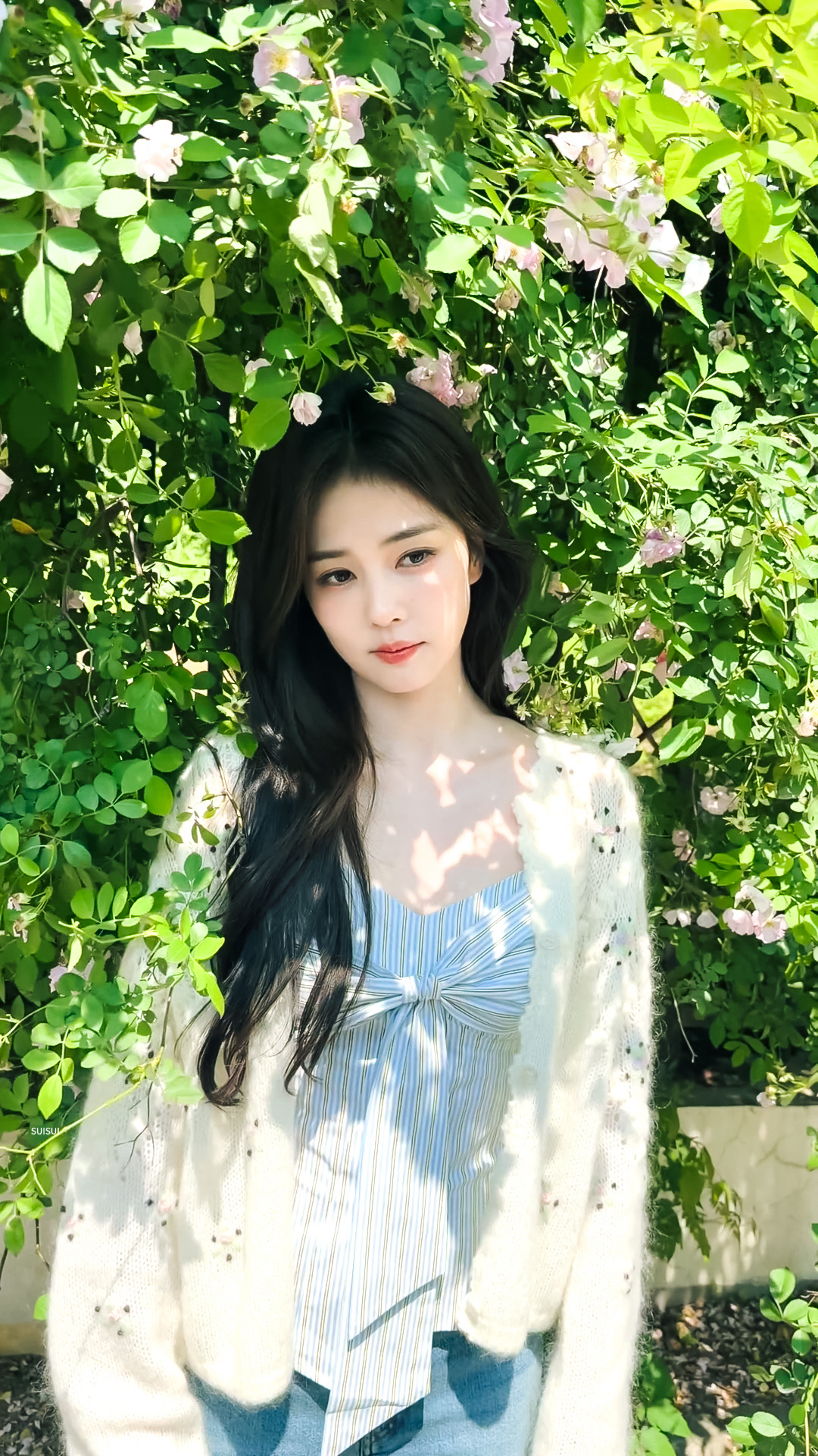 🌵🌴🍃♡森呼吸 