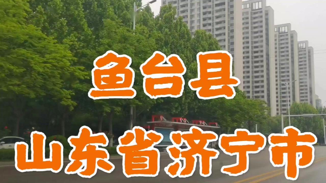 🌳山东省济宁市的鱼台县，是一座历史悠久、美丽繁荣的县城！

🌳鱼台县是山东省