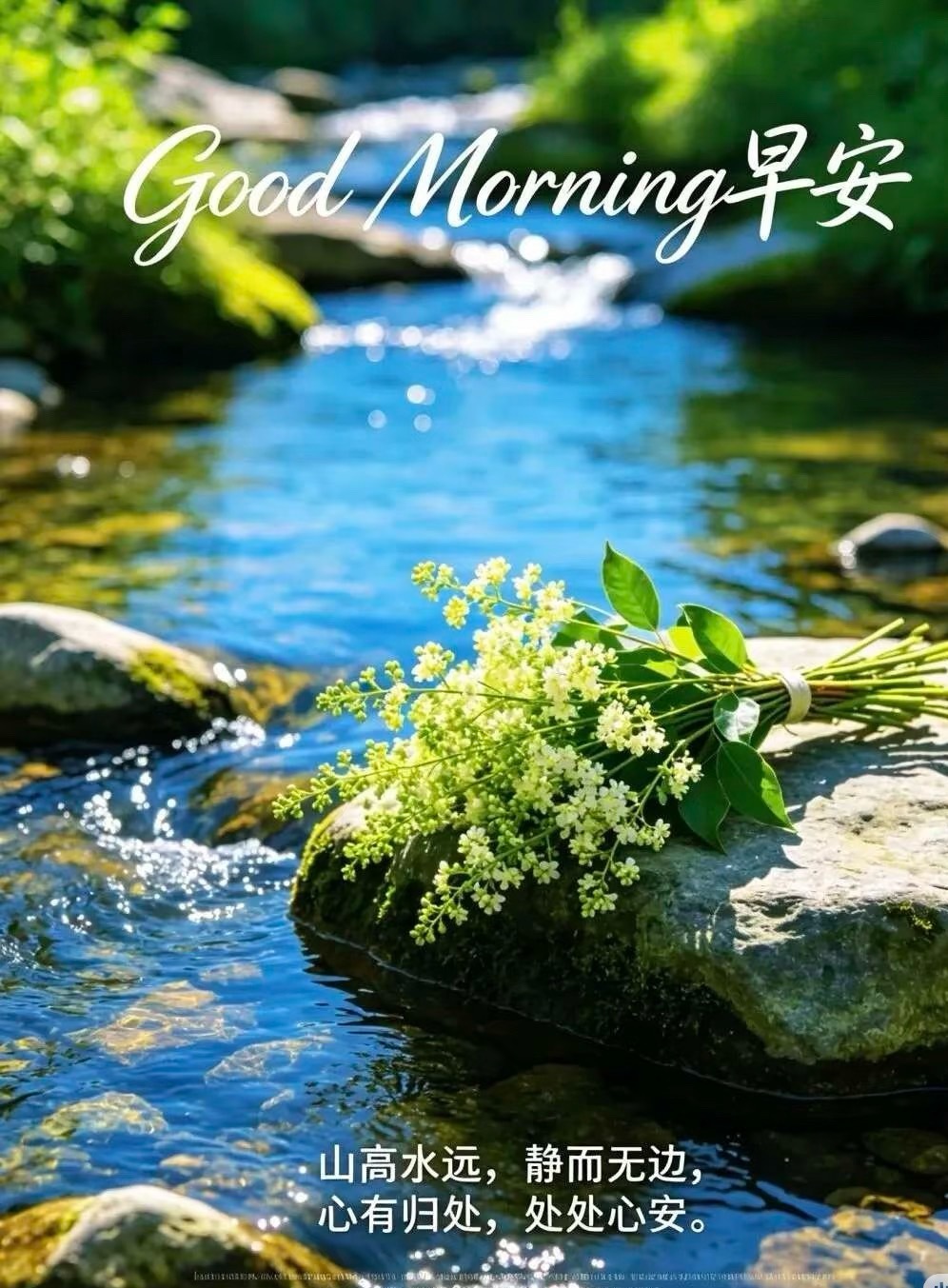 𝙈𝙤𝙧𝙣𝙞𝙣𝙜 ˗ˋˏ🌷ˎˊ˗风有风的自由，你有你的方向。不必羡