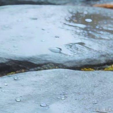 生活就像这石板路，坑坑洼洼，还总被雨淋。但总会有小花，从缝隙里钻出来，给你一点颜