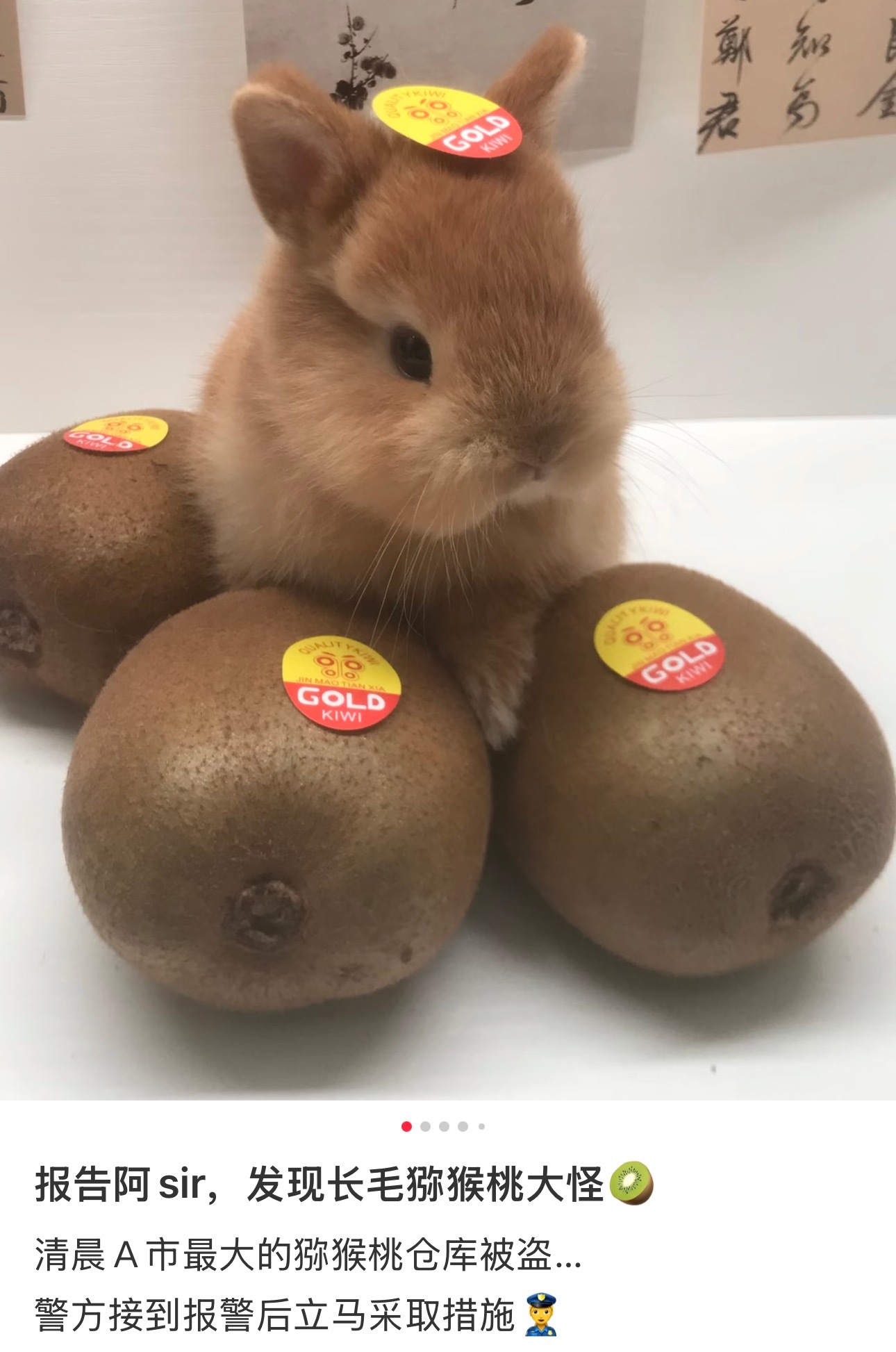 我猜此🥝大盗一定是为了引起林sir注意