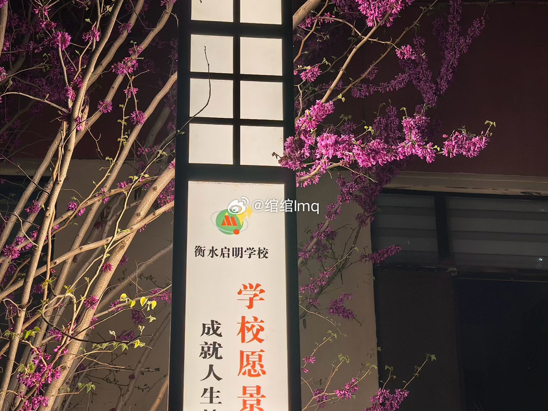 李小冉凡尔赛式谈身材管理朗朗书声回荡在校园上空，欢声笑语点缀在日常时光，老师耐心