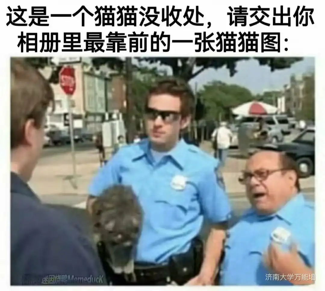 <img src=