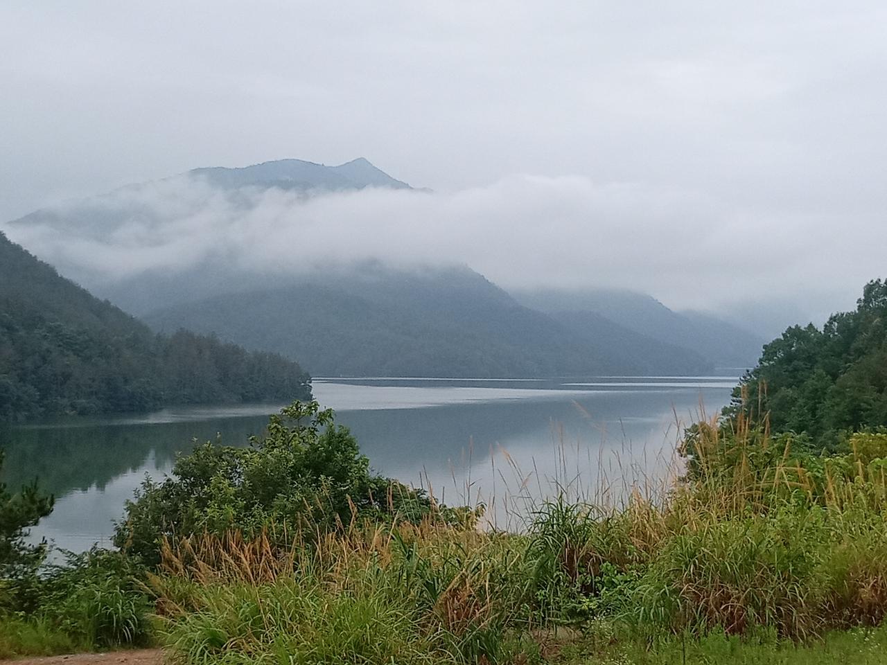 枫林红叶
 
龙眠溪畔草青青，

野鸭成双戏水汀。

见客远藏波底去，

忽叼山