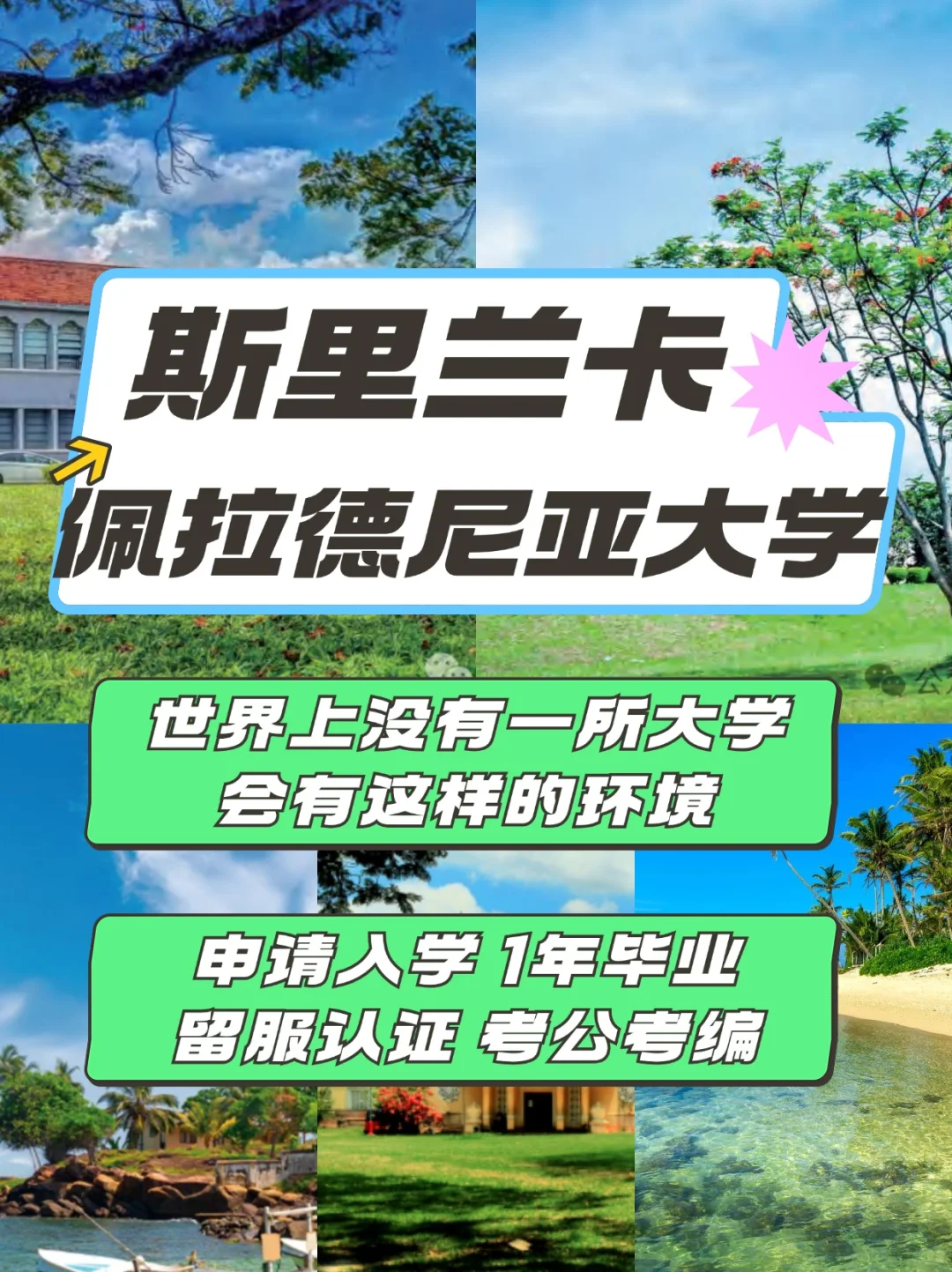 宝藏小众留学｜斯里兰卡专升硕，钱少，好毕业