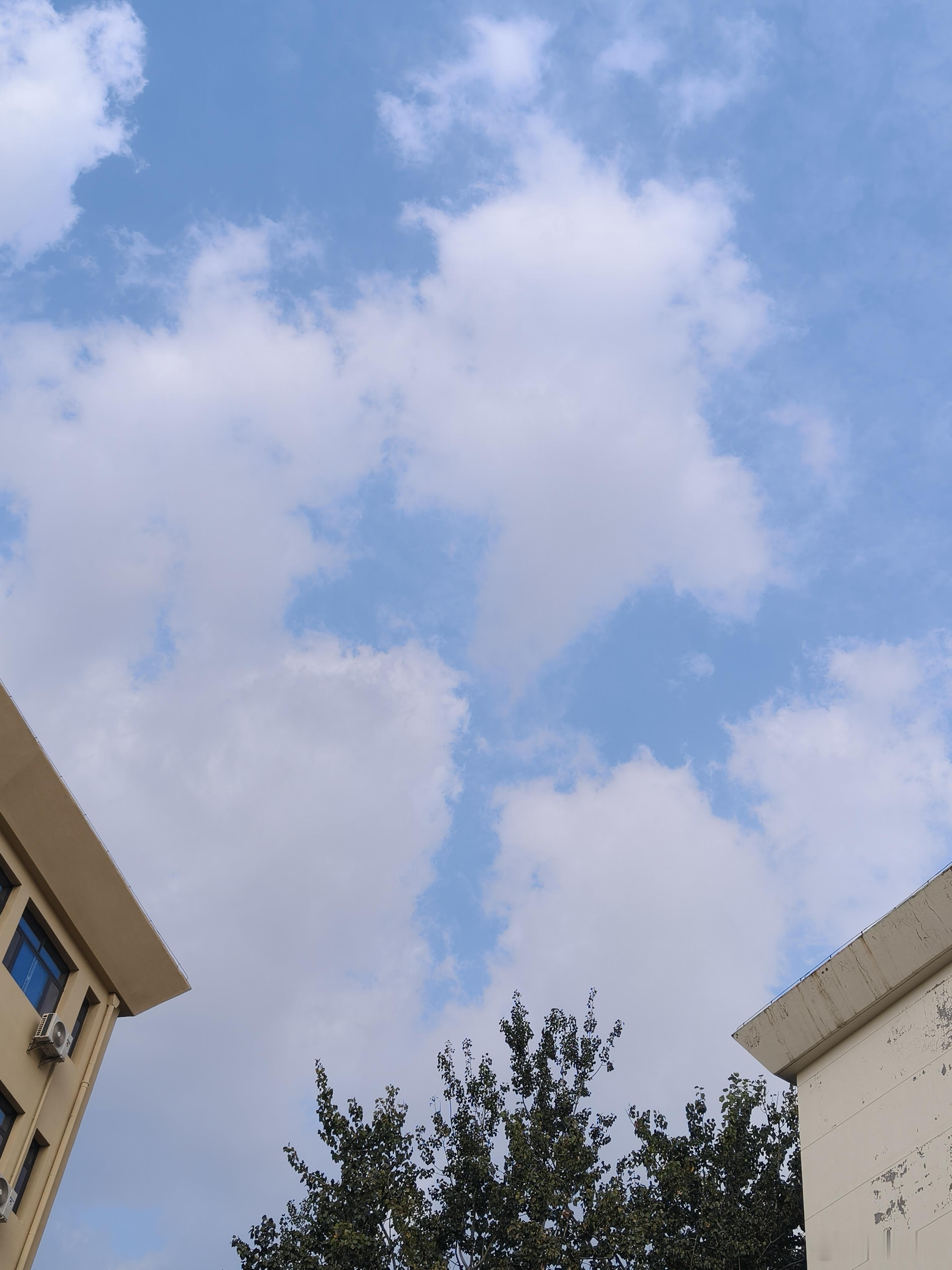今天的天空是很清透的一种蓝[兔子] ​​​