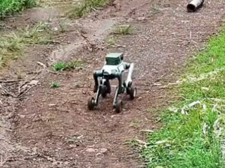 原来这轮子是可以用来“步行”的，不需要折叠或收起啥的，而且走的还挺稳，不影响随时