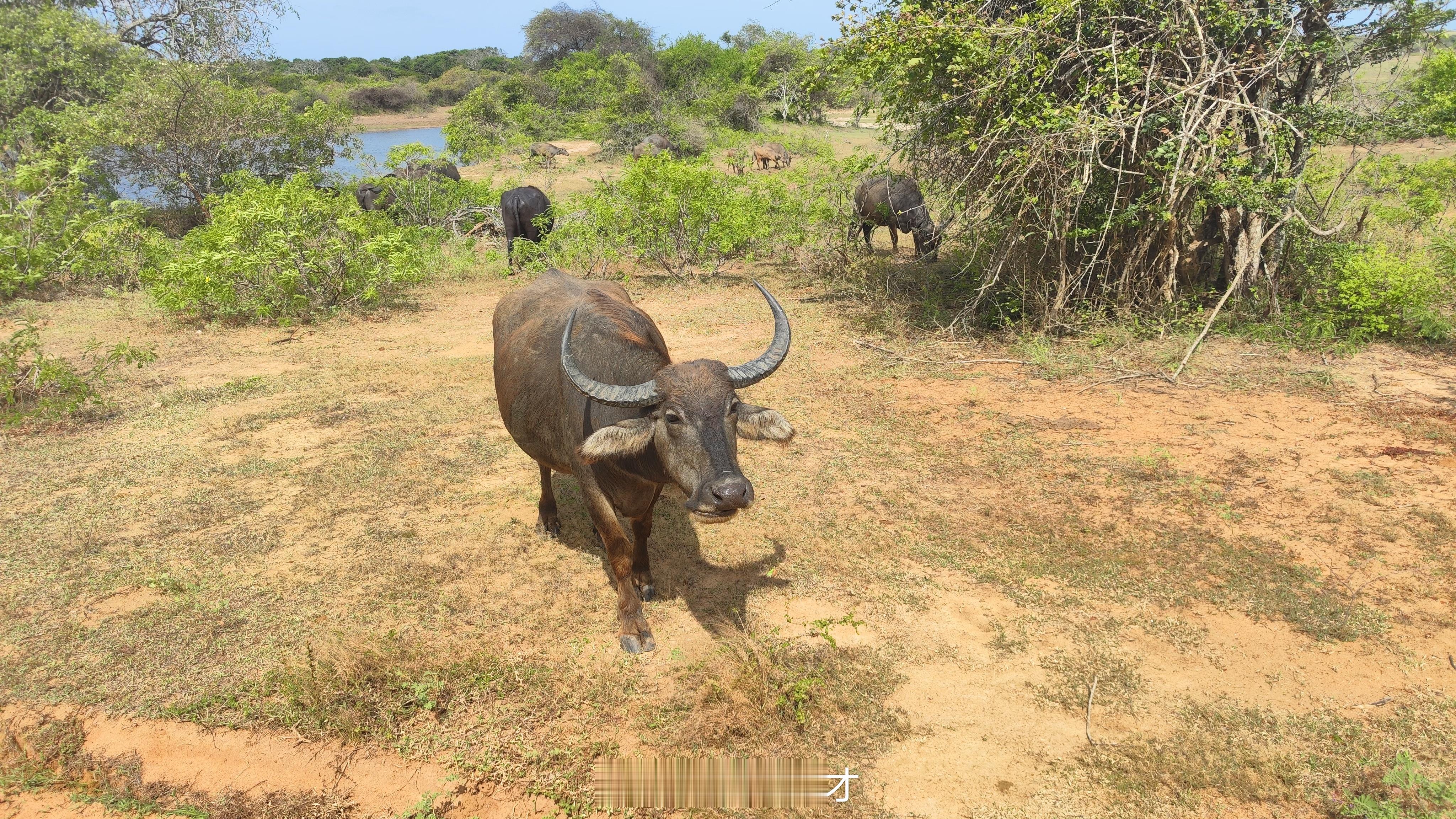 又熬一个通宵，天亮了。今年还剩九天，不知道还要熬几个通宵。 
