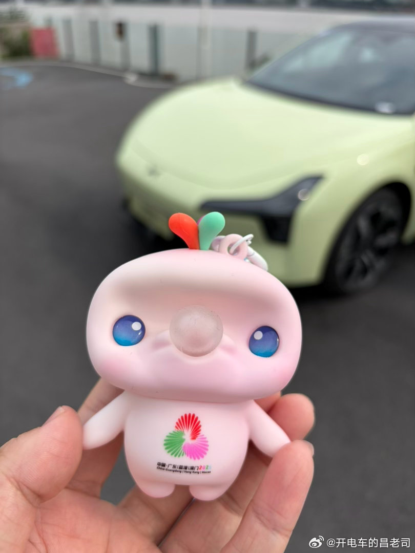 大湾鸡的一天车内白切鸡，车外鼓油鸡新MONA的防晒有东西何小鹏参考欧阳娜娜建议改