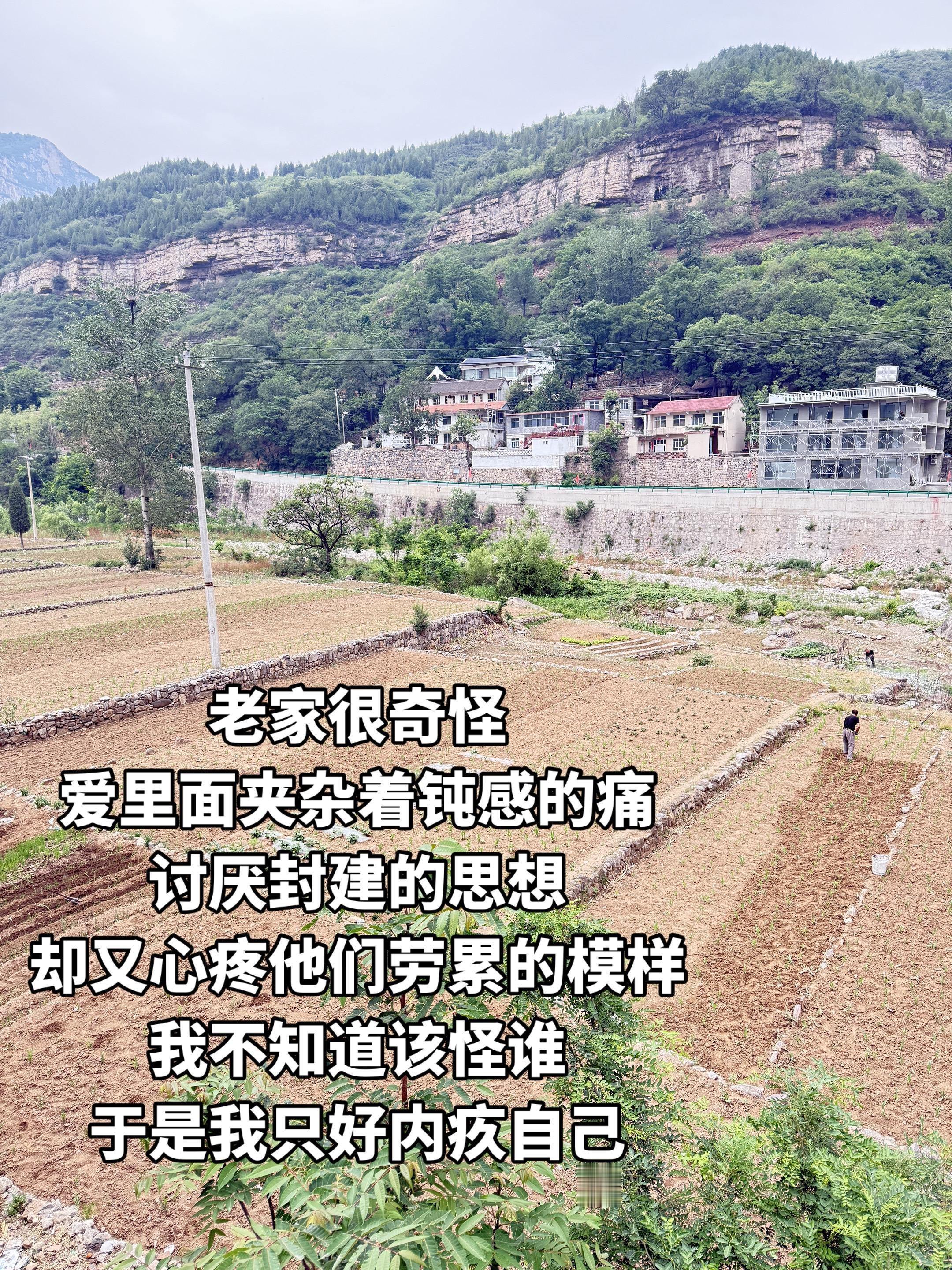 他们给你的爱，够你活下来，却不够你自信坦荡， 他们给你的伤，不致命，却...
