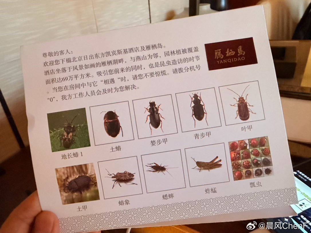 测试小鹏MONA L03之前认识下北方的虫子吧你见过几种何小鹏称年轻人就该有更好