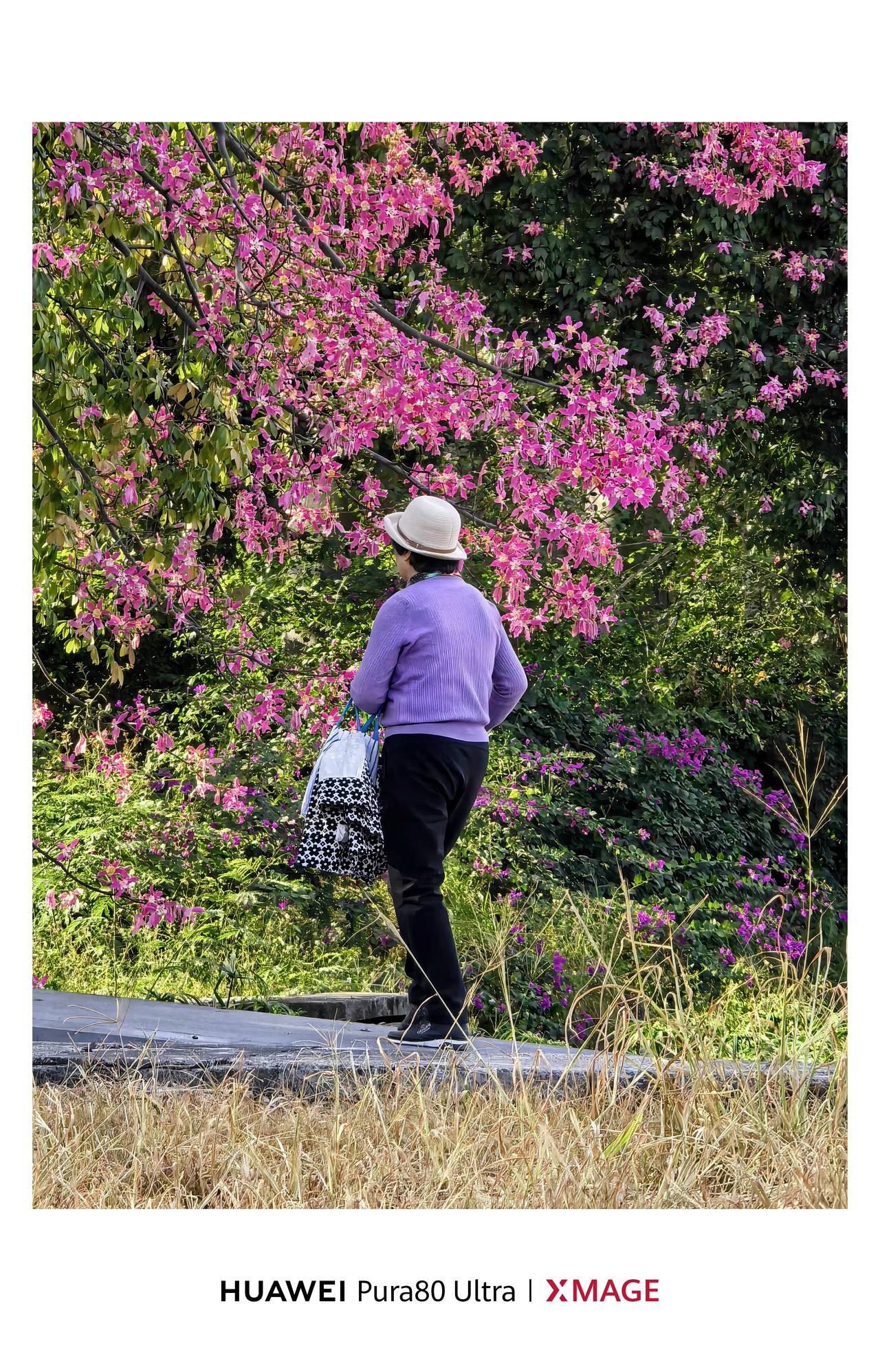 Pura 80 ultra一镜双目。
在木棉花盛开的观澜河湿地公园的季节，老奶奶
