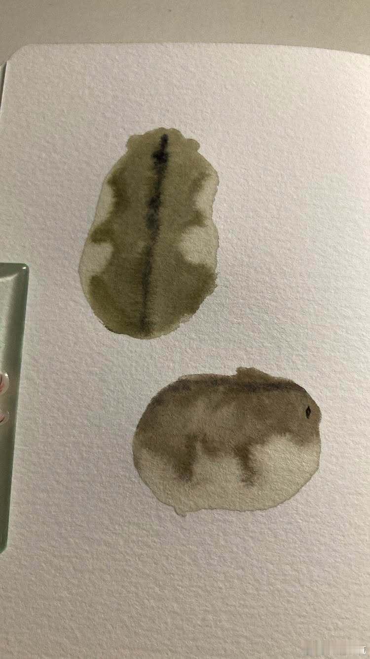 水彩仓鼠 ​​​
