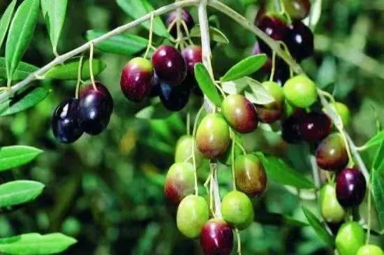 #用四个字描述对2024年的期望#