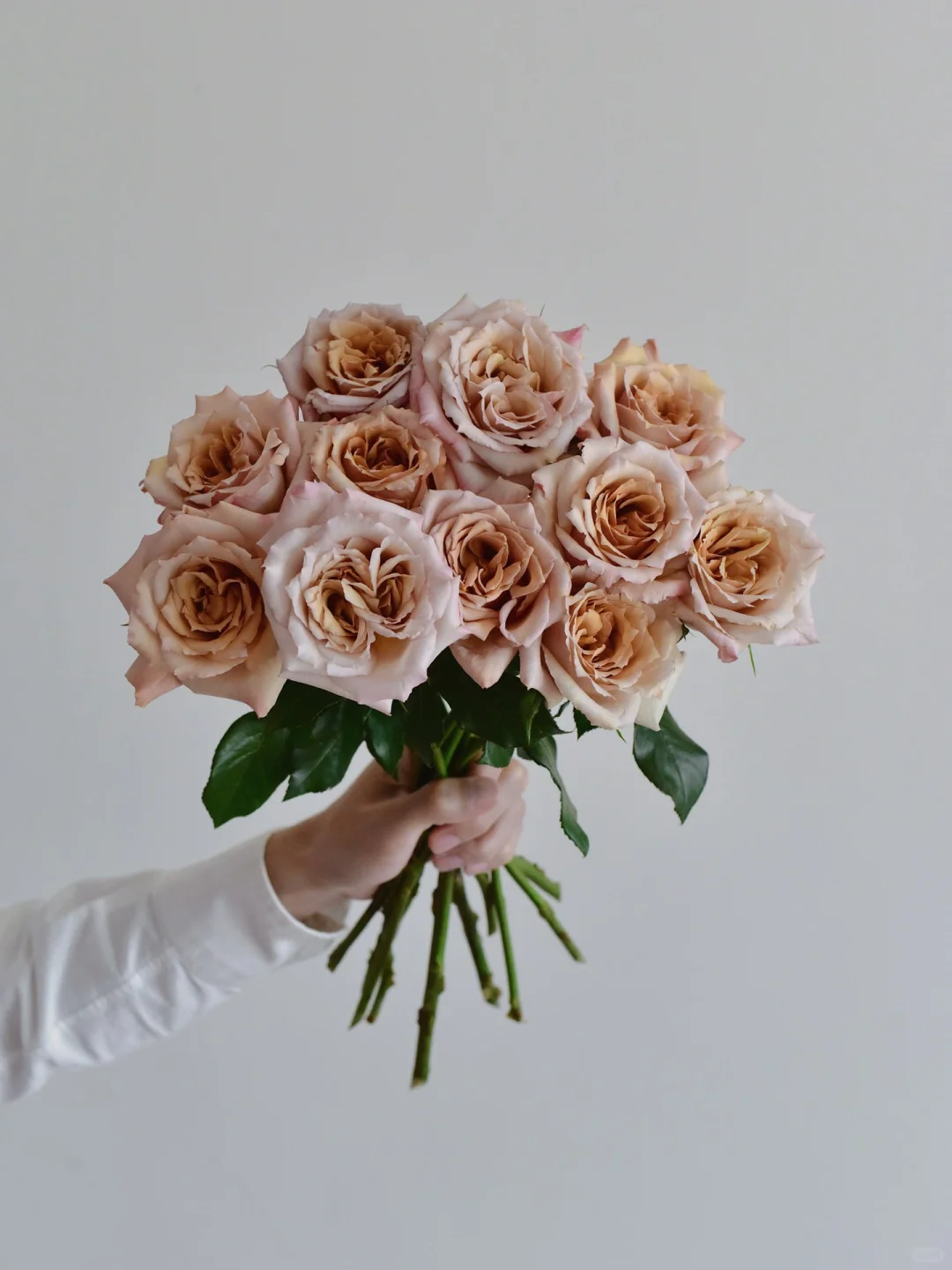 花栖玫瑰园·珍爱之宝